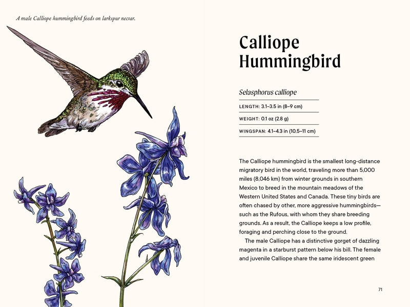 A Little Book of Hummingbirds