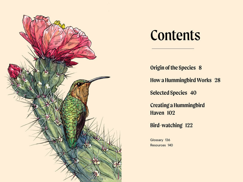 A Little Book of Hummingbirds