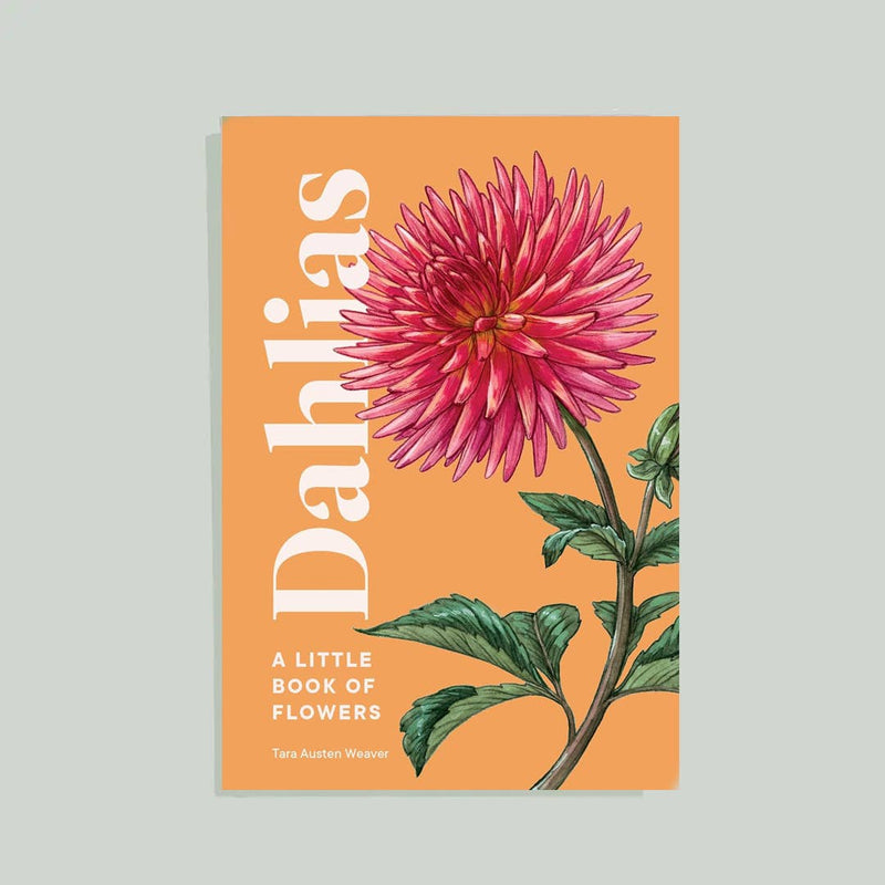 A Little Book of Flowers: Dahlias